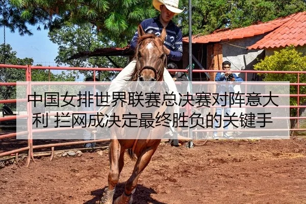 中国女排世界联赛总决赛对阵意大利 拦网成决定最终胜负的关键手